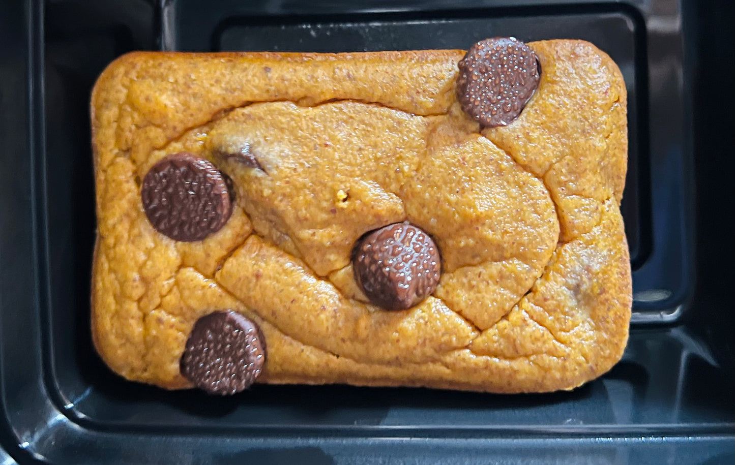 Pumpkin Bars-GF